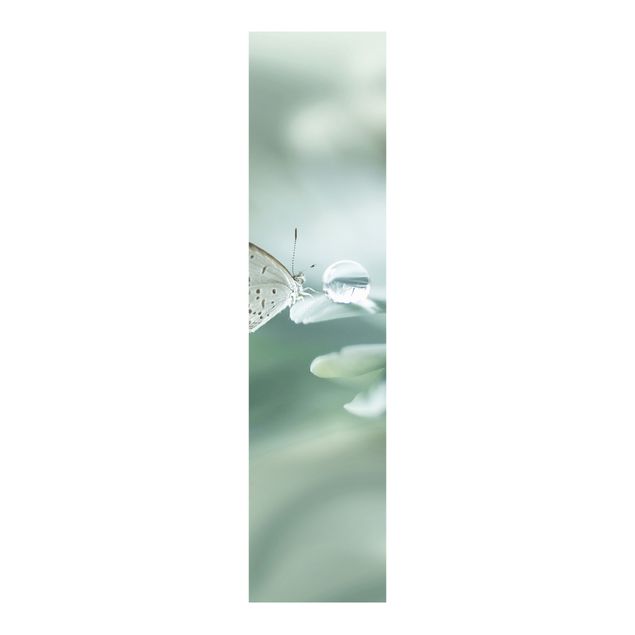 Tessili online Farfalla e gocce di rugiada in verde pastello
