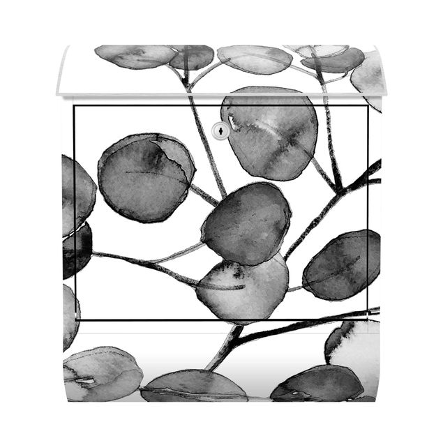 Cassette della posta in bianco e nero Acquerello di ramoscelli di eucalipto in bianco e nero