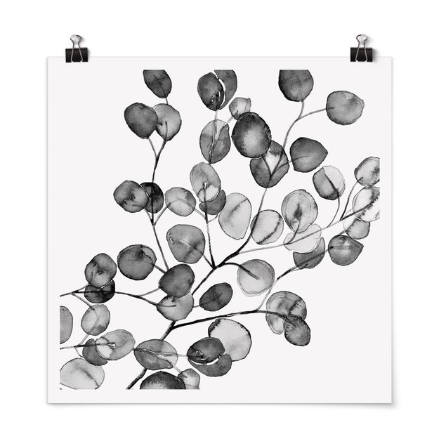 Poster bianco e nero Acquerello di ramoscelli di eucalipto in bianco e nero