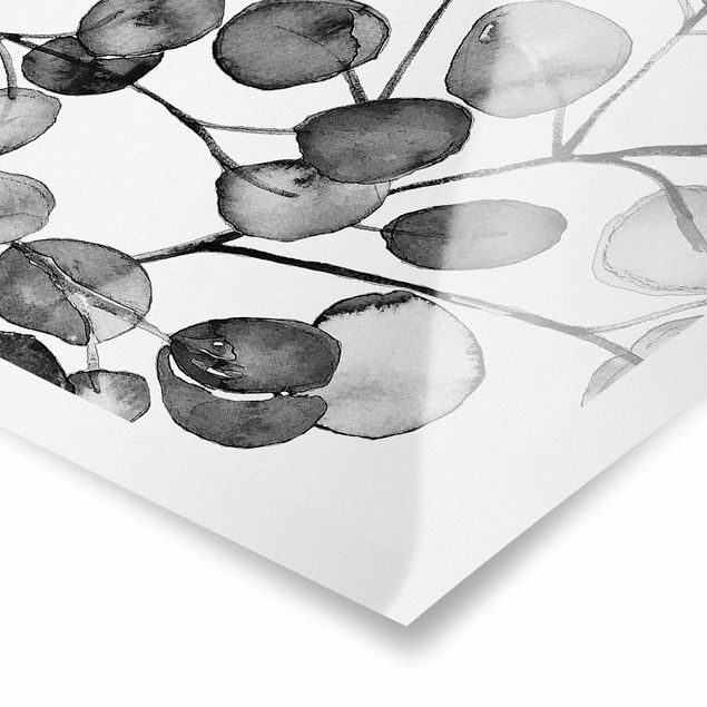 Stampe Acquerello di ramoscelli di eucalipto in bianco e nero