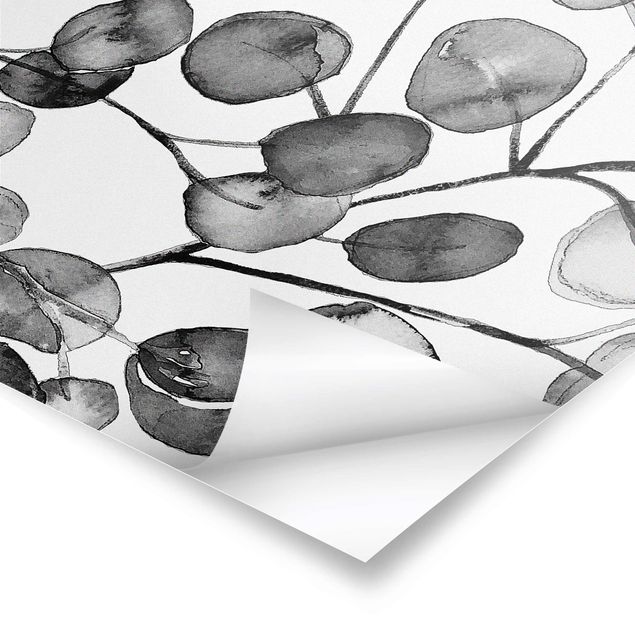 Poster Acquerello di ramoscelli di eucalipto in bianco e nero