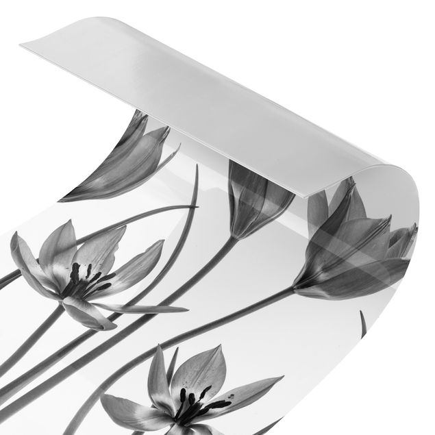 Rivestimento per doccia - Sette fioriture di tulipani in bianco e nero