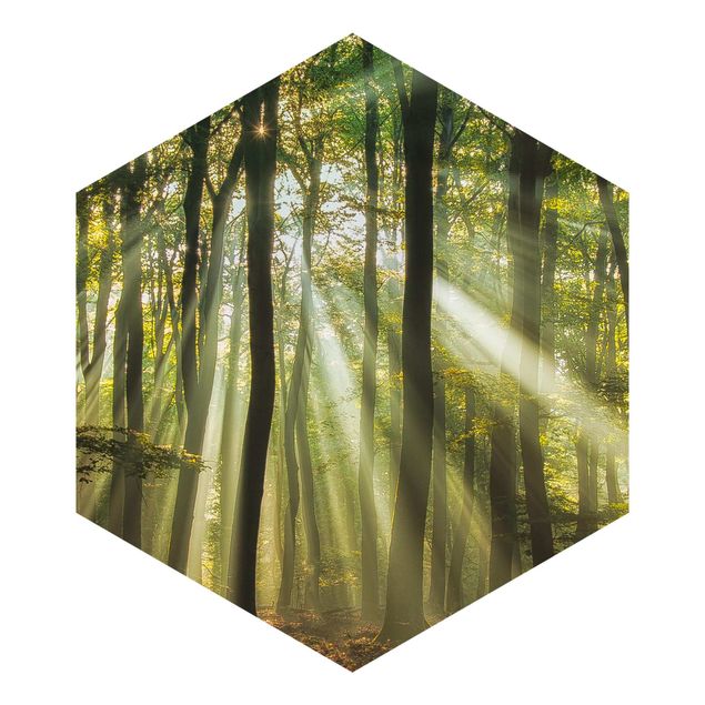 Carte da parati verde Giornata di sole nella foresta