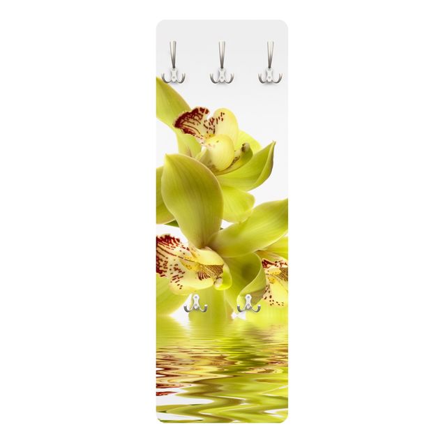 Appendiabiti Splendide acque di orchidea