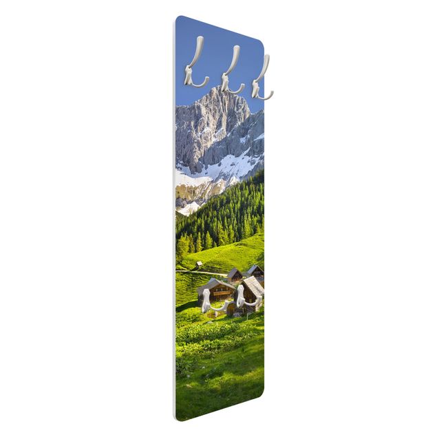 Appendiabiti - Styria Alpine meadow