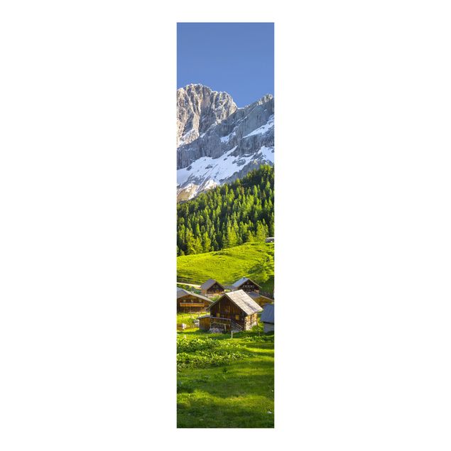 Quadri Rainer Mirau Prato alpino della Stiria