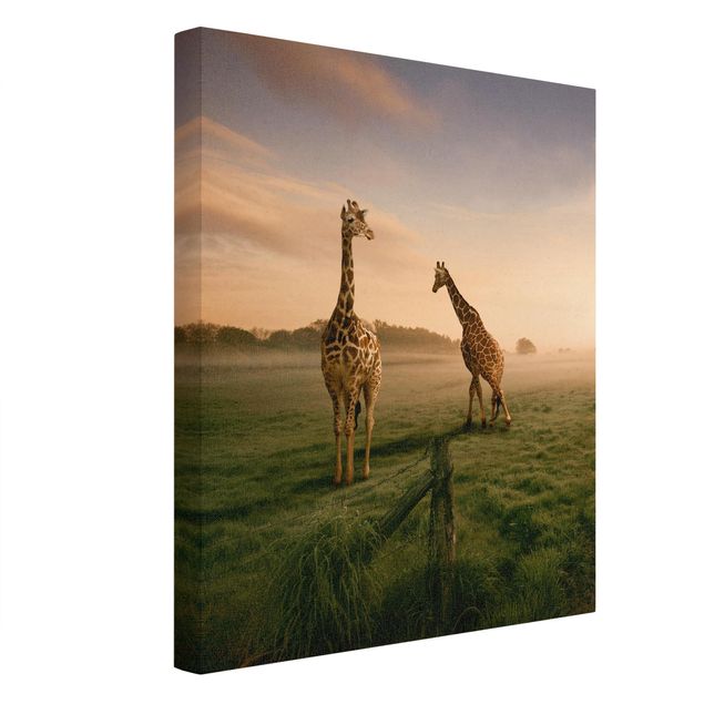 Quadro moderno Giraffe surreali