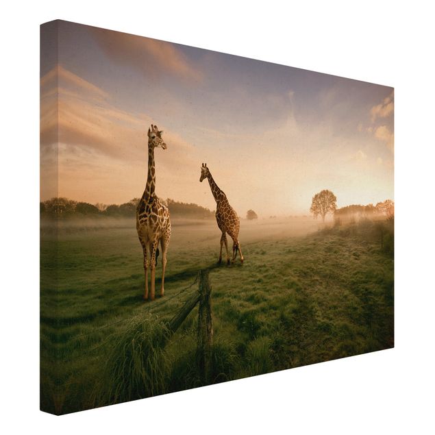 Quadri moderni   Giraffe surreali