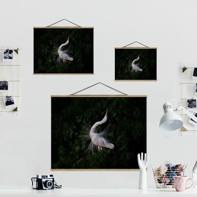 Foto su tessuto da parete con bastone - Airone bianco danzante su fondo nero - Orizzontale 3:2