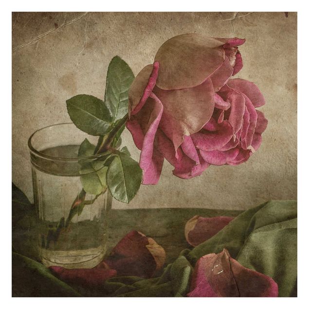 Carta parati vintage Lacrima di una rosa