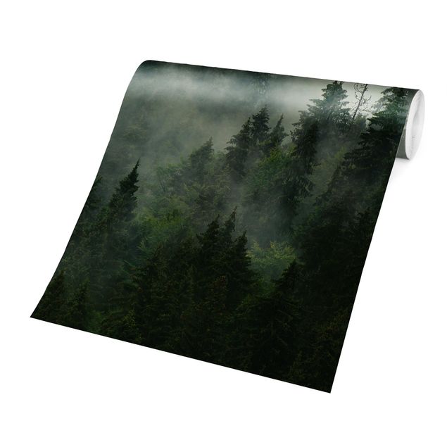 Carte da parati paesaggio Foresta di abeti verde intenso nella nebbia