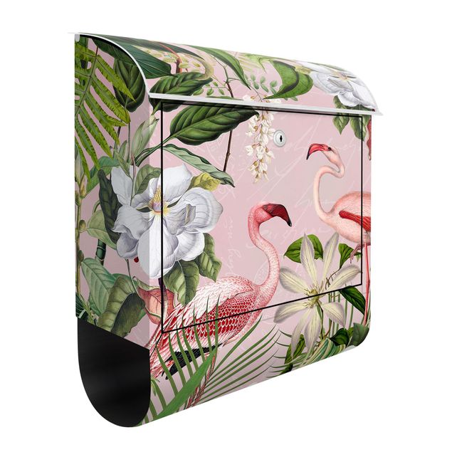 Cassette della posta con fiori Fenicotteri tropicali con piante in rosa