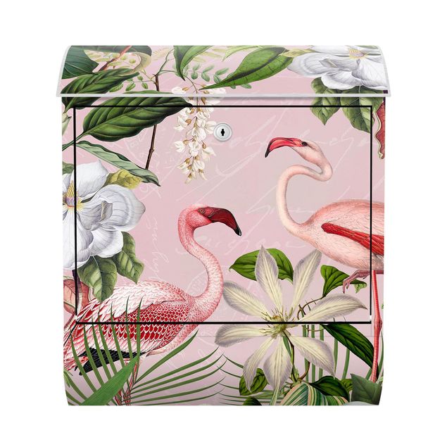 Cassette della posta con animali Fenicotteri tropicali con piante in rosa