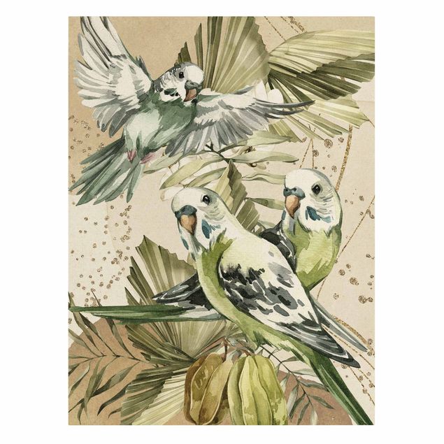 Quadro verde Uccelli tropicali - Budgerigar verde