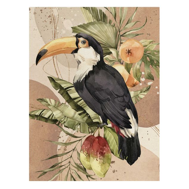 Stampe Uccelli tropicali - Tucano