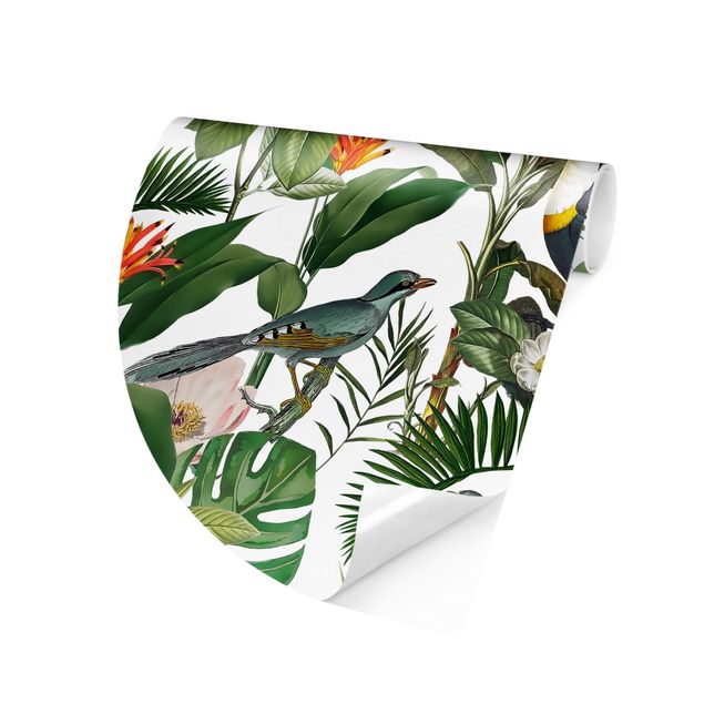 Carta da parati uccelli Tucano tropicale con monstera e foglie di palma