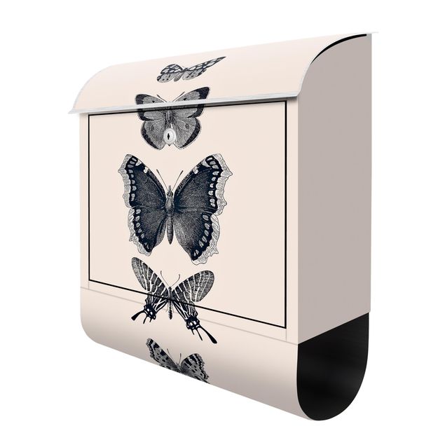 Cassetta postale grigia Farfalle d'inchiostro su sfondo beige