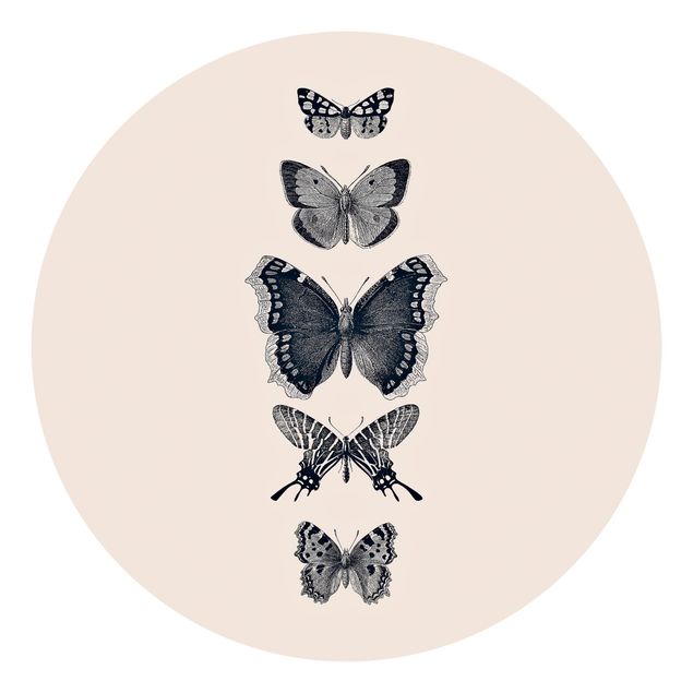 Carte da parati grigie Farfalle d'inchiostro su sfondo beige