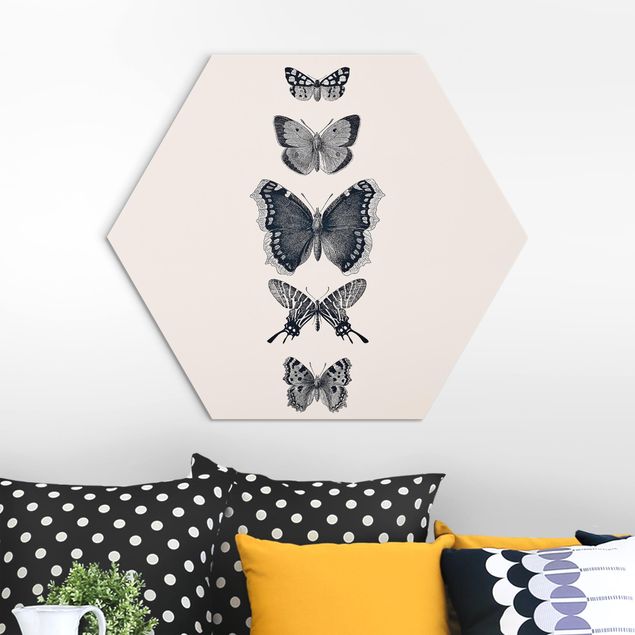 Quadri di farfalle Farfalle d'inchiostro su sfondo beige