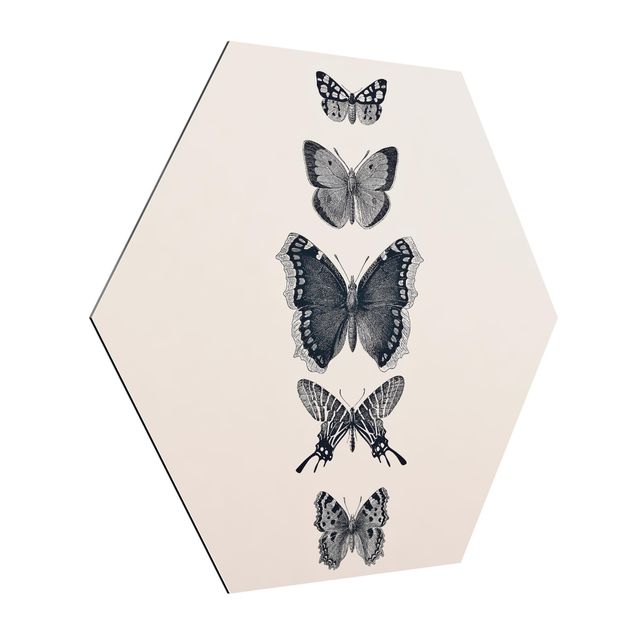 Quadri moderni grigi Farfalle d'inchiostro su sfondo beige