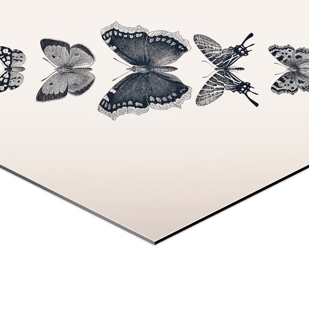 Quadri in alluminio Farfalle d'inchiostro su sfondo beige