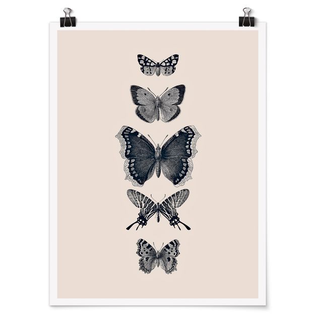 Poster animali Farfalle d'inchiostro su sfondo beige