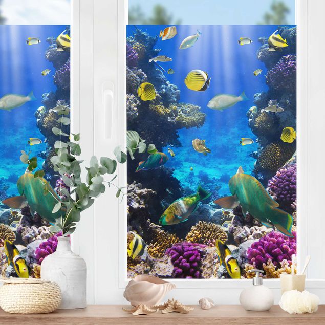 Adesivi per finestre con animali Underwater Dreams