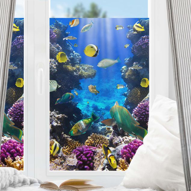 Pellicola adesiva per vetri Underwater Dreams