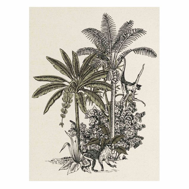 Quadri vintage Illustrazione vintage - Scimmie e palme