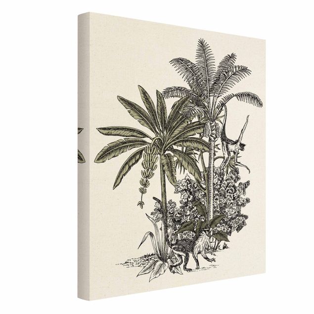 Stampe Illustrazione vintage - Scimmie e palme