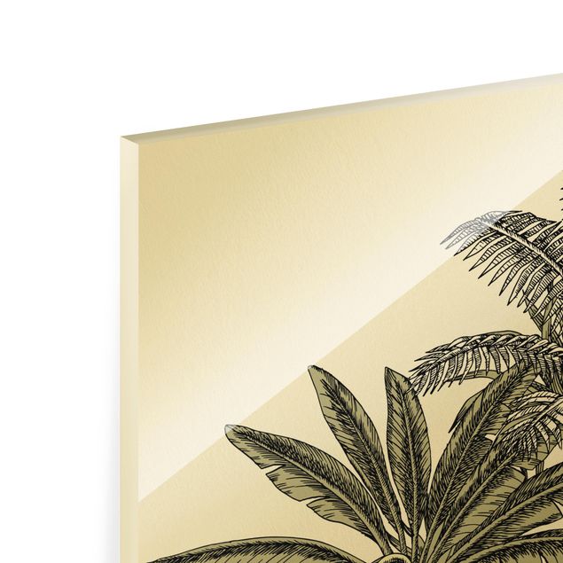 Glas Magnetboard Illustrazione vintage - Scimmie e palme