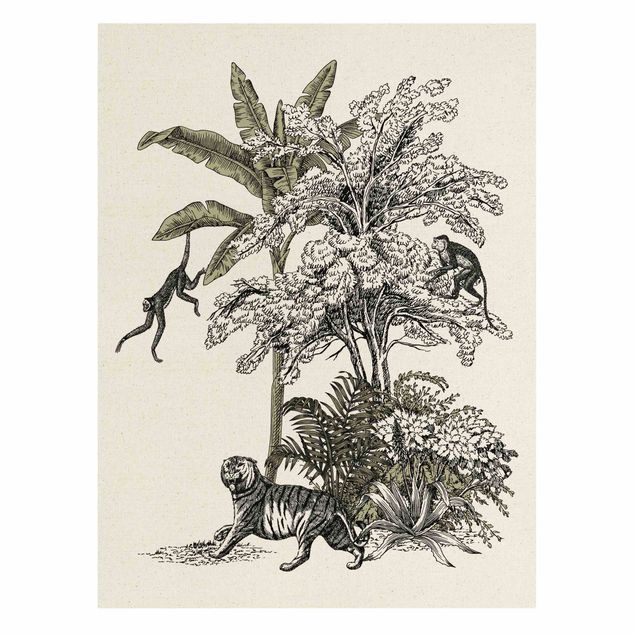 Quadri di fiori Illustrazione vintage - Scimmie arrampicatrici