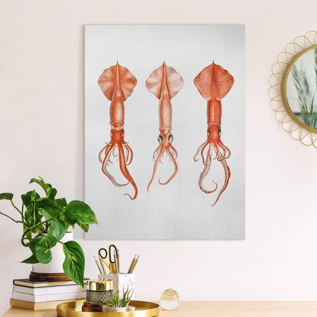 Quadri su tela con pesci Illustrazione vintage di un calamaro rosso