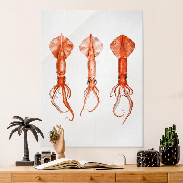 Quadro pesci Illustrazione vintage di un calamaro rosso