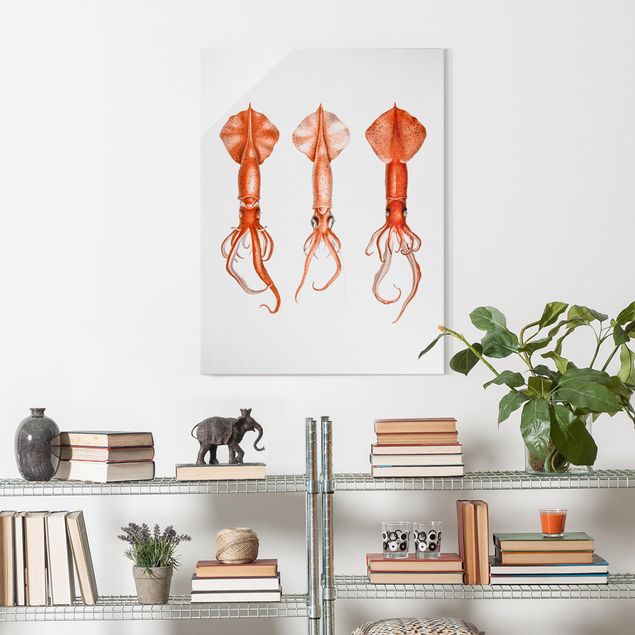 Quadri in vetro con spiaggia Illustrazione vintage di un calamaro rosso