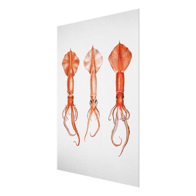 Quadri in vetro con paesaggio Illustrazione vintage di un calamaro rosso