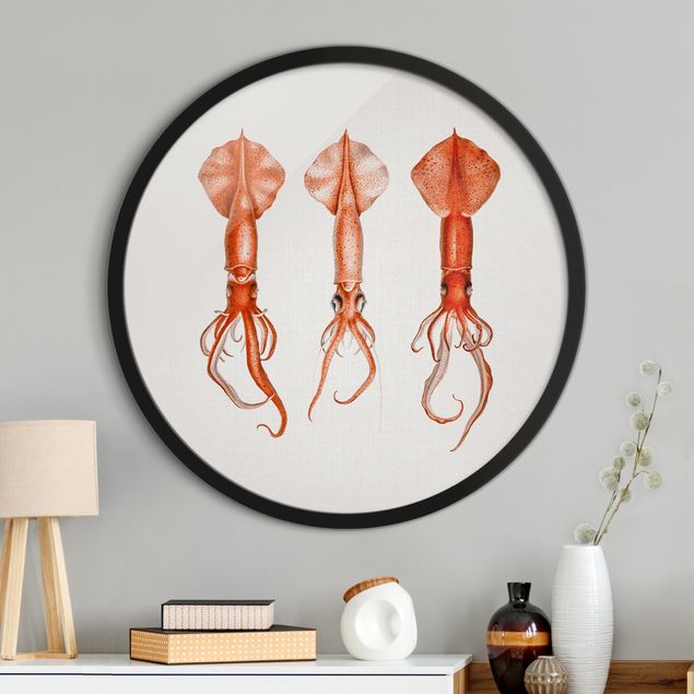 Quadri con cornice con spiaggia Illustrazione vintage di un calamaro rosso