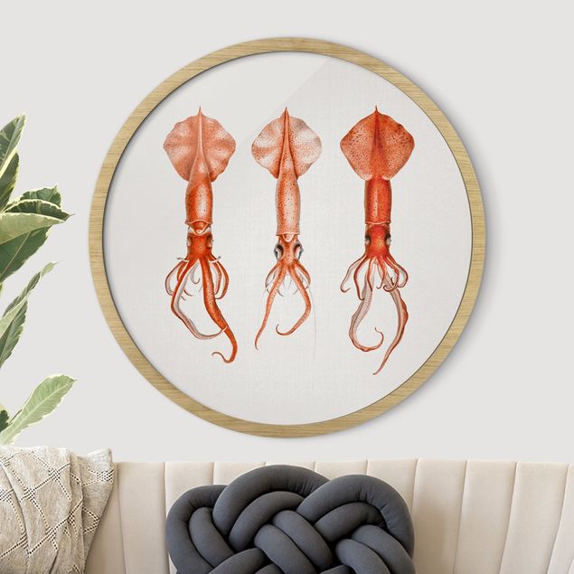Quadri con pesci Illustrazione vintage di un calamaro rosso
