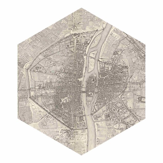 Carta da parati beige Mappa vintage Paris