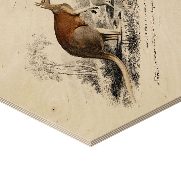 Esagono in legno - Tavola didattica vintage canguro