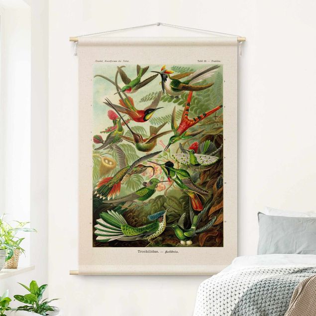 Arazzi da parete moderni Tavola didattica vintage colibrì