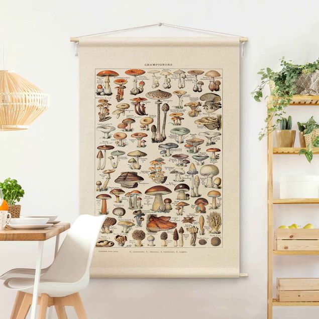 arazzo da parete moderno Tavola didattica vintage funghi