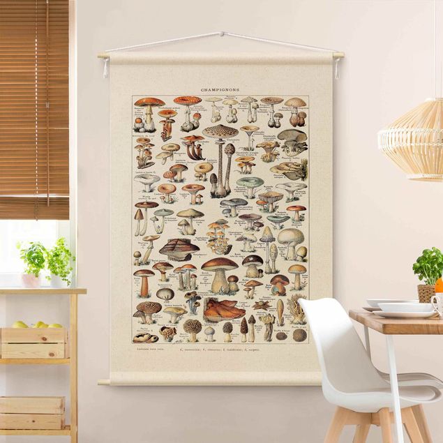 Arazzo da parete XXL Tavola didattica vintage funghi