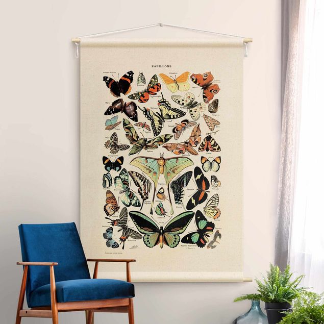 arazzo da parete vintage Tavola didattica vintage farfalle e lepidotteri