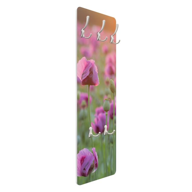 Appendiabiti - Purple Poppy Flower Meadow In Spring