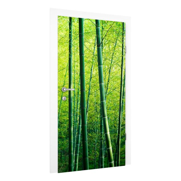 Carta parati foresta Foresta di bambù