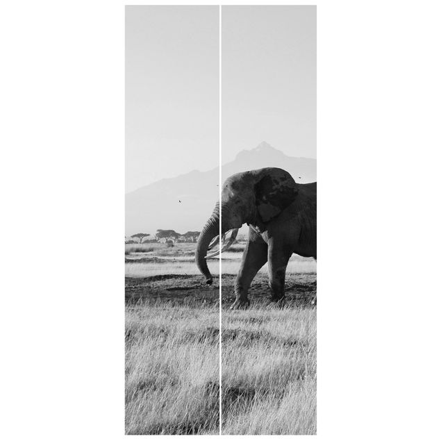 Carte da parati per porte architettura e skylines Elephants in front of the Kilimanjaro in Kenya II