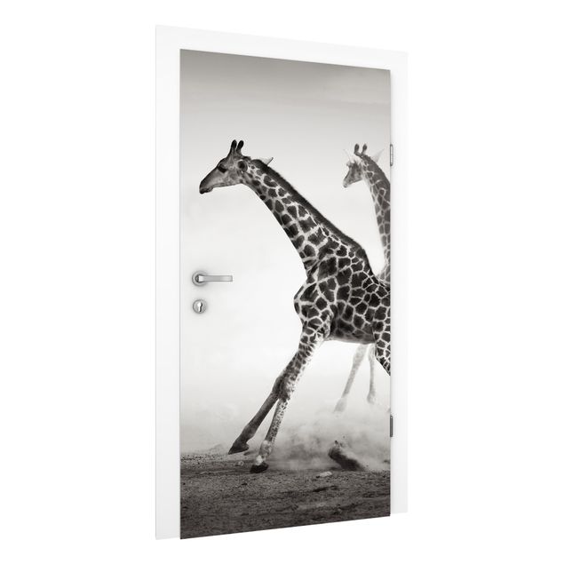 Carta da parati giraffe Giraffe a caccia