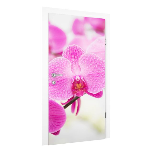 Carte da parati per porte con fiori Orchidea ravvicinata