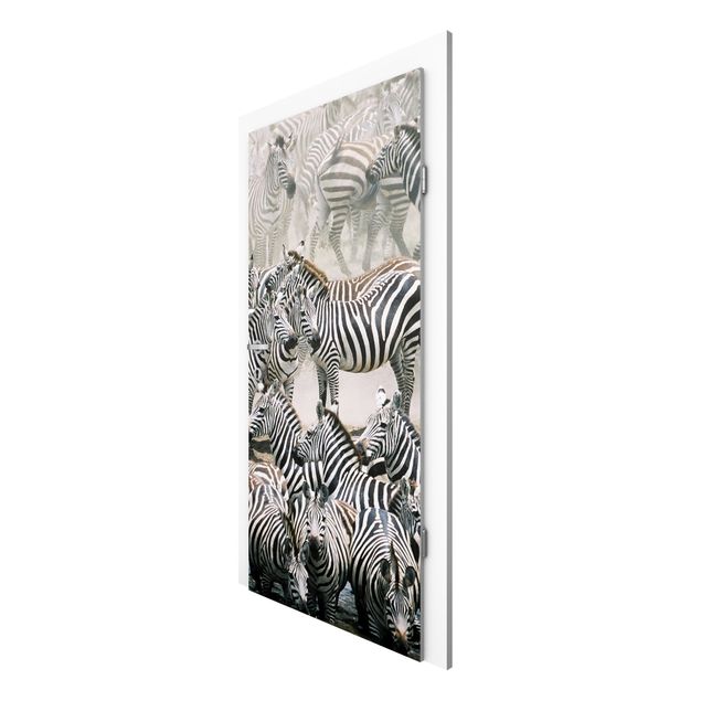 Carte da parati moderne Branco di zebre